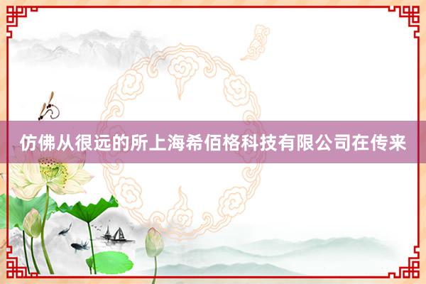 仿佛从很远的所上海希佰格科技有限公司在传来