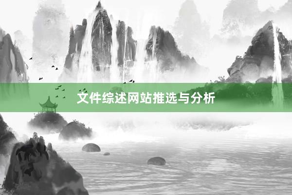 文件综述网站推选与分析