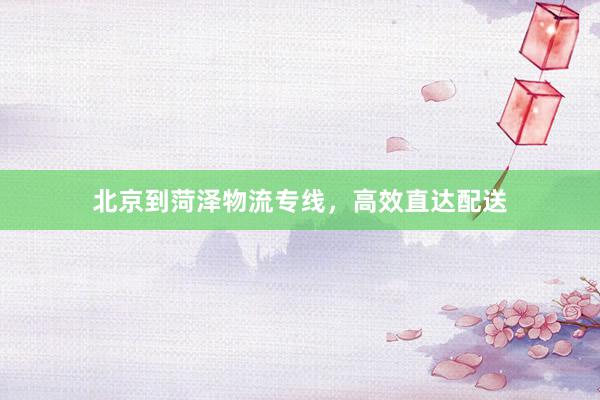 北京到菏泽物流专线，高效直达配送